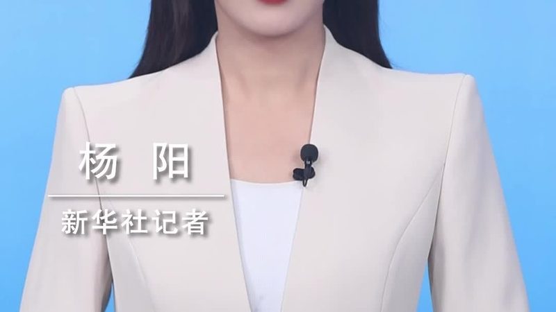 研发外包与内包：合同区别解析**